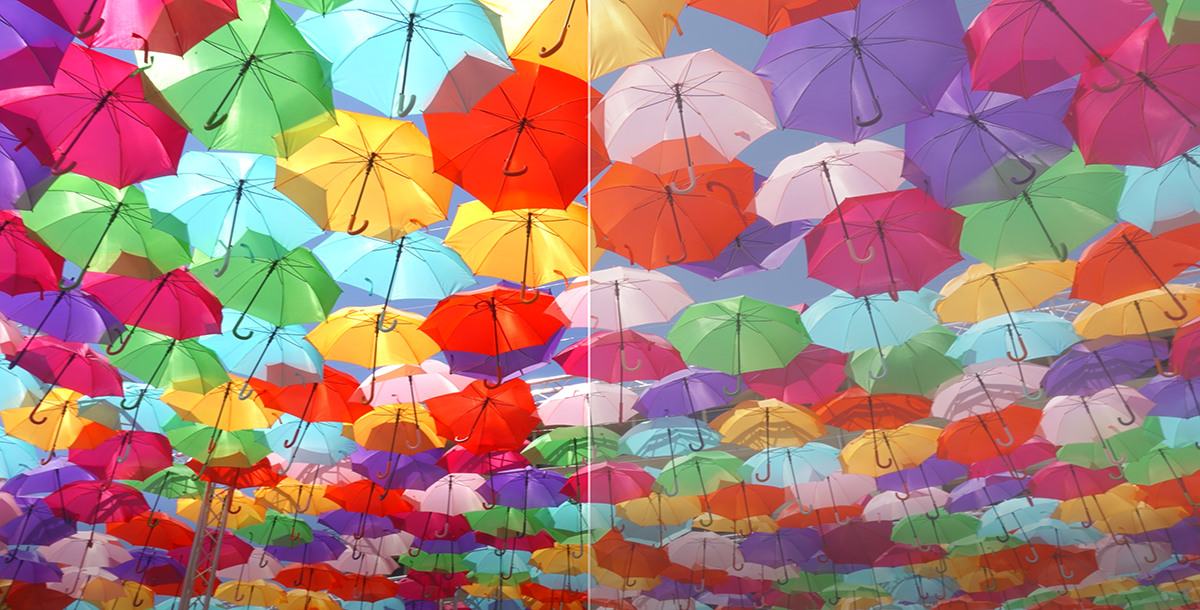 Couverture DCI-P3 à 95% – gamme de couleurs cinéma